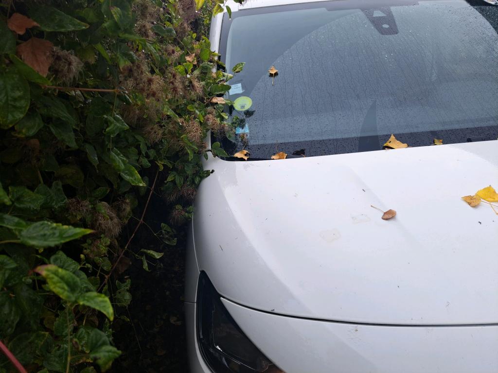 Peugeot PARTNER FOURGON STANDARD 650 KG BLUEHDI 100 S&S BVM5 PREMIUM 2020