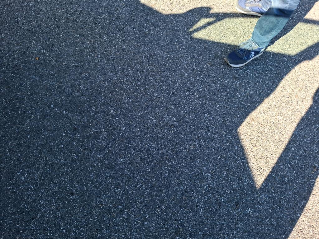 Citroen C3 PureTech 83 ch BVM5 You 2023