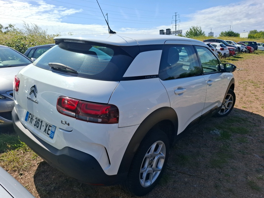 Citroen C4 Cactus BlueHDi 100 S&S BVM6 Feel Business 2019