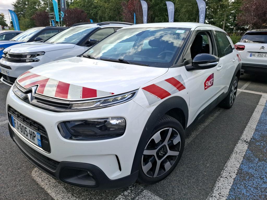 C4 CACTUS