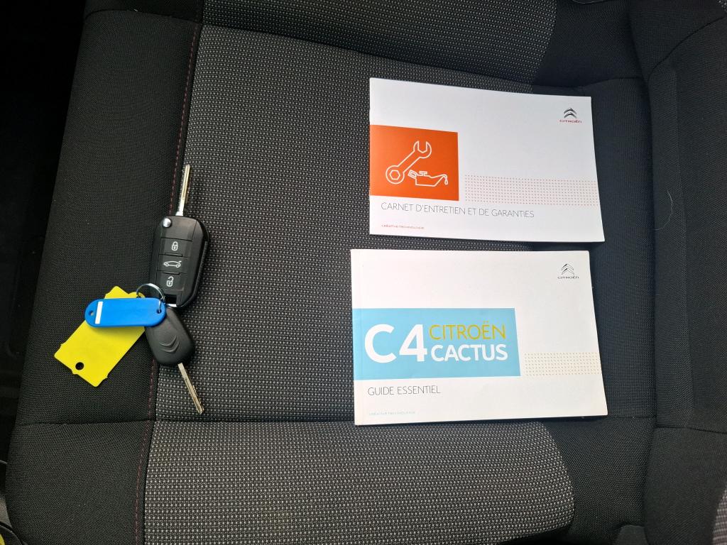 Citroen C4 Cactus BlueHDi 100 S&S BVM6 Feel 2019