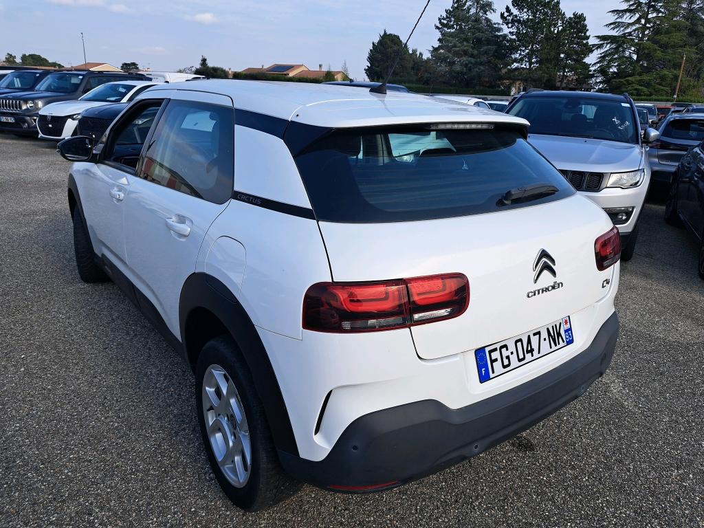 Citroen C4 Cactus BlueHDi 100 S&S BVM6 Feel Business 2019