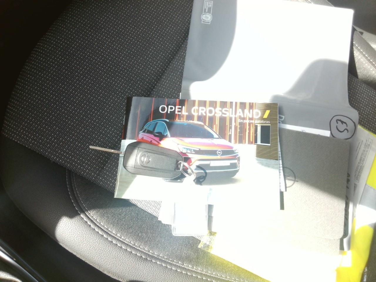 Foto Opel CrossLand 13