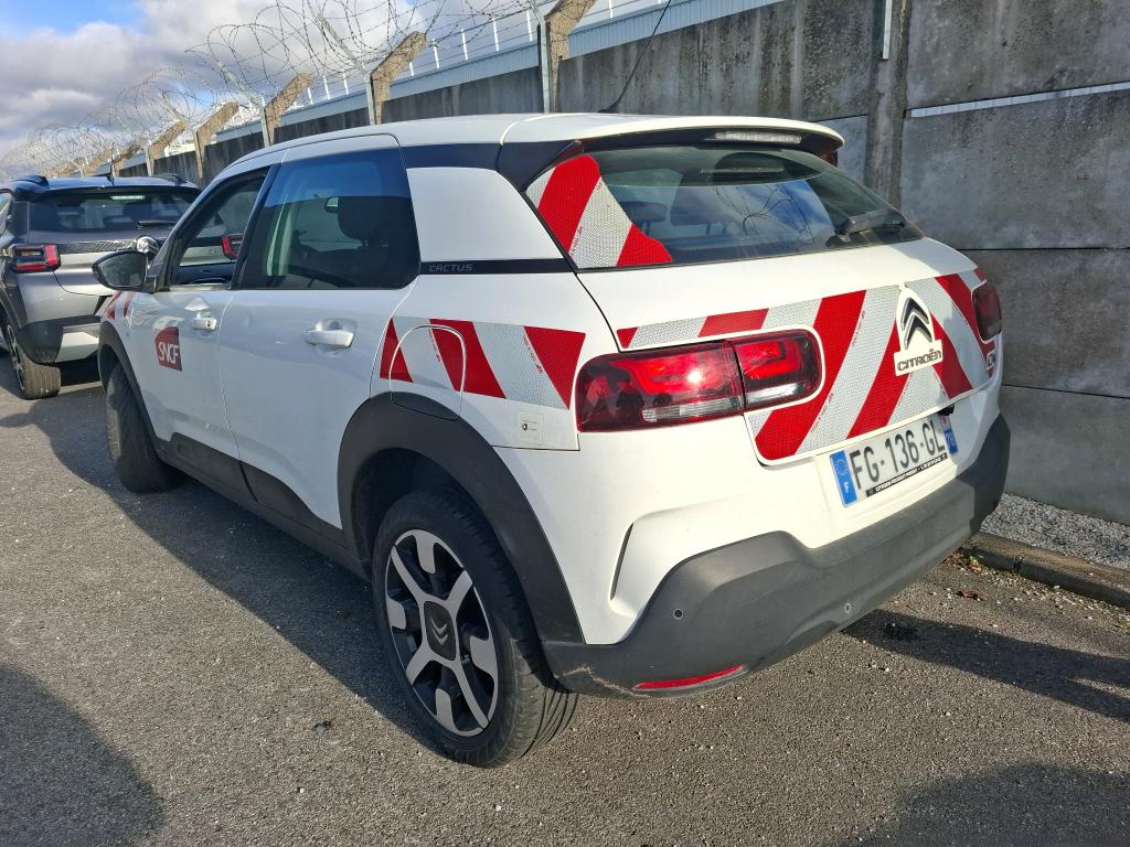 Citroen C4 Cactus PureTech 110 S&S BVM6 Feel 2019