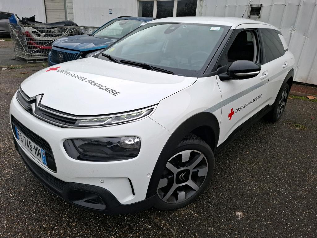 C4 CACTUS