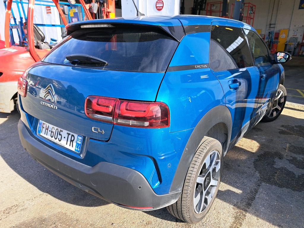 Citroen C4 Cactus BlueHDi 100 S&S BVM6 Shine Business 2019