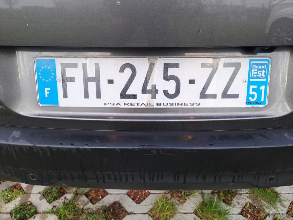 Citroen C4 Cactus BlueHDi 100 S&S BVM6 Shine Business 2019