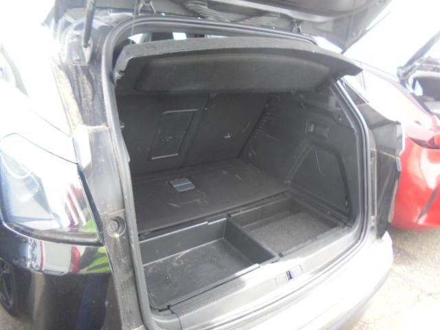 Foto Peugeot 3008 Hybrid 13