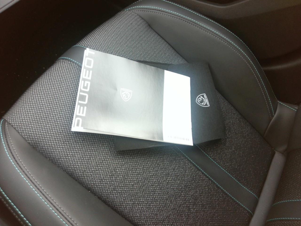 Foto Peugeot 308 14