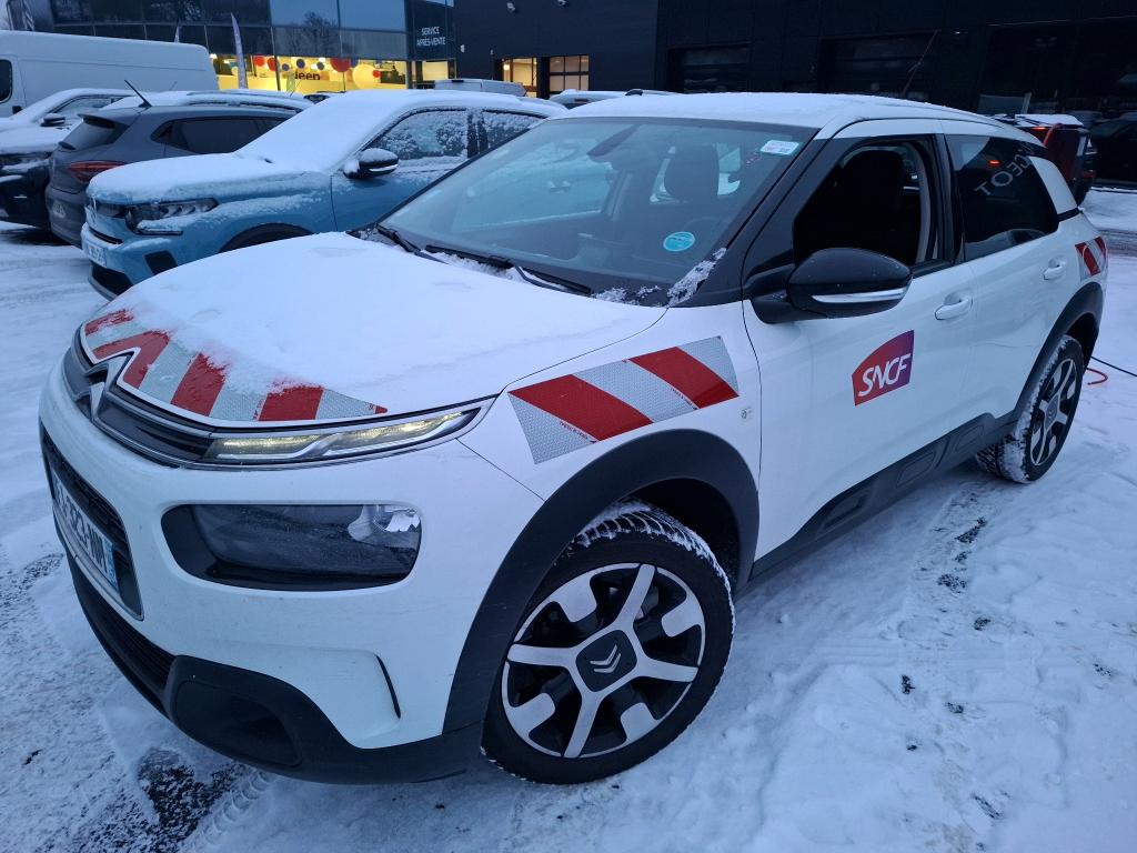 C4 CACTUS