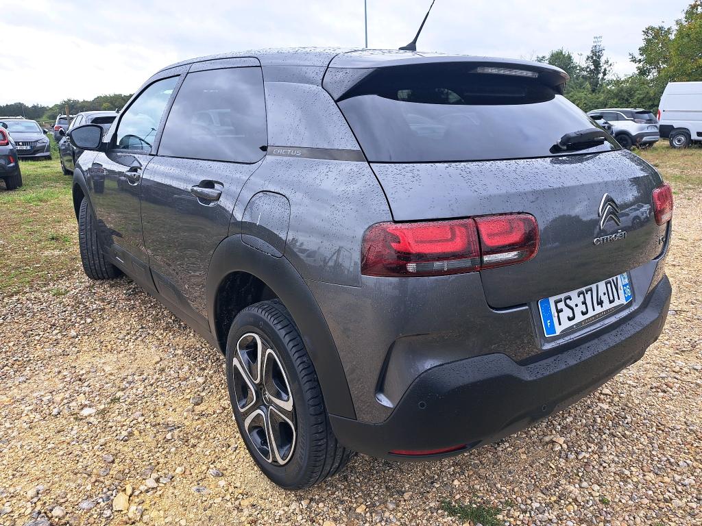 Citroen C4 Cactus BlueHDi 100 S&S BVM6 Feel Business 2020