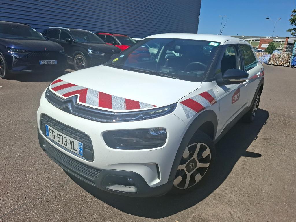 C4 CACTUS