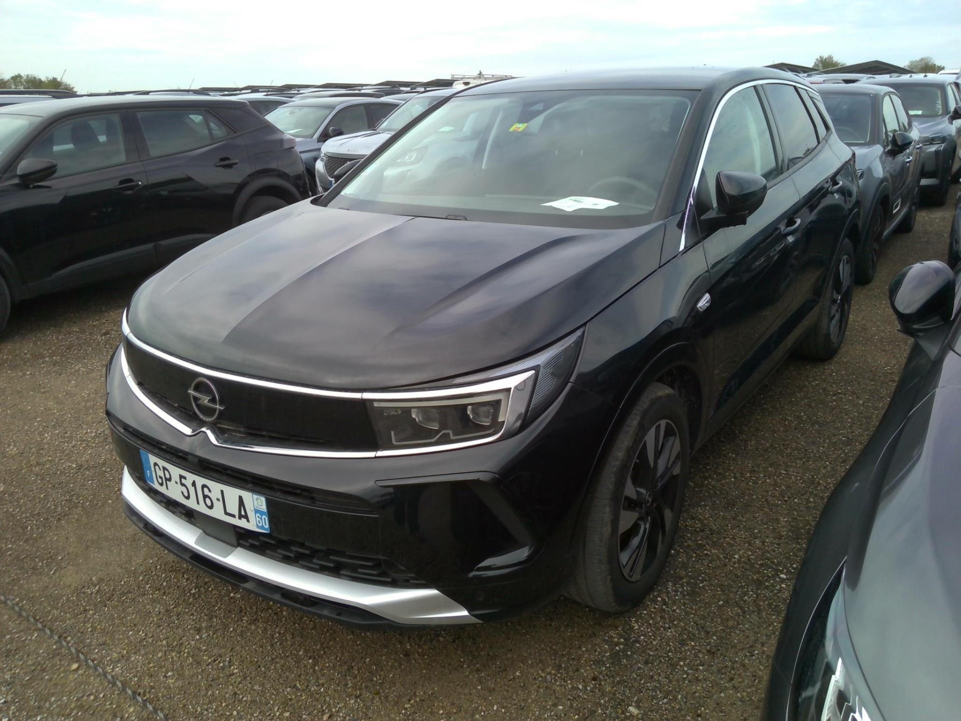Opel Grandland 1.5 Diesel 130 ch BVA8 Elegance Business 2023