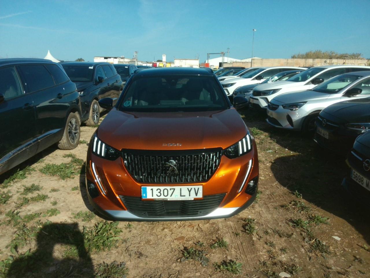 Foto Peugeot 2008 1