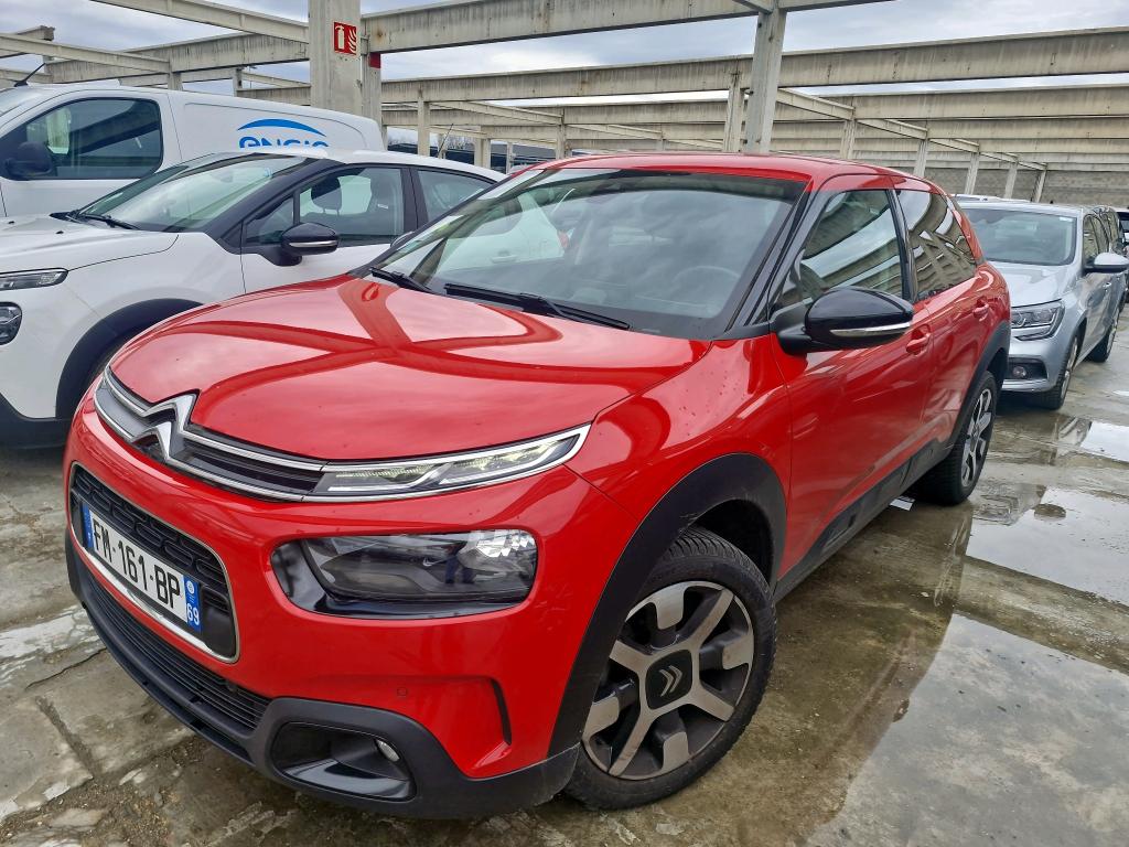 C4 CACTUS