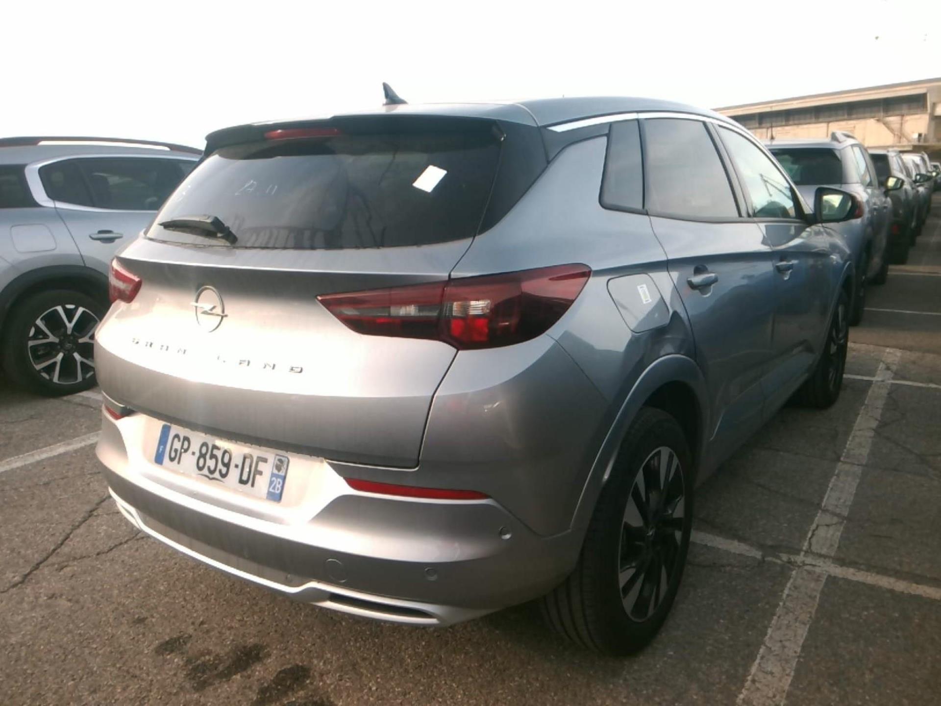 Opel Grandland 1.5 Diesel 130 ch BVA8 Elegance Business 2023