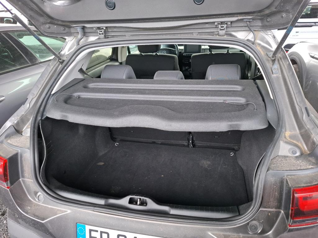 Citroen C4 Cactus PureTech 110 S&S BVM6 Feel Business 2020
