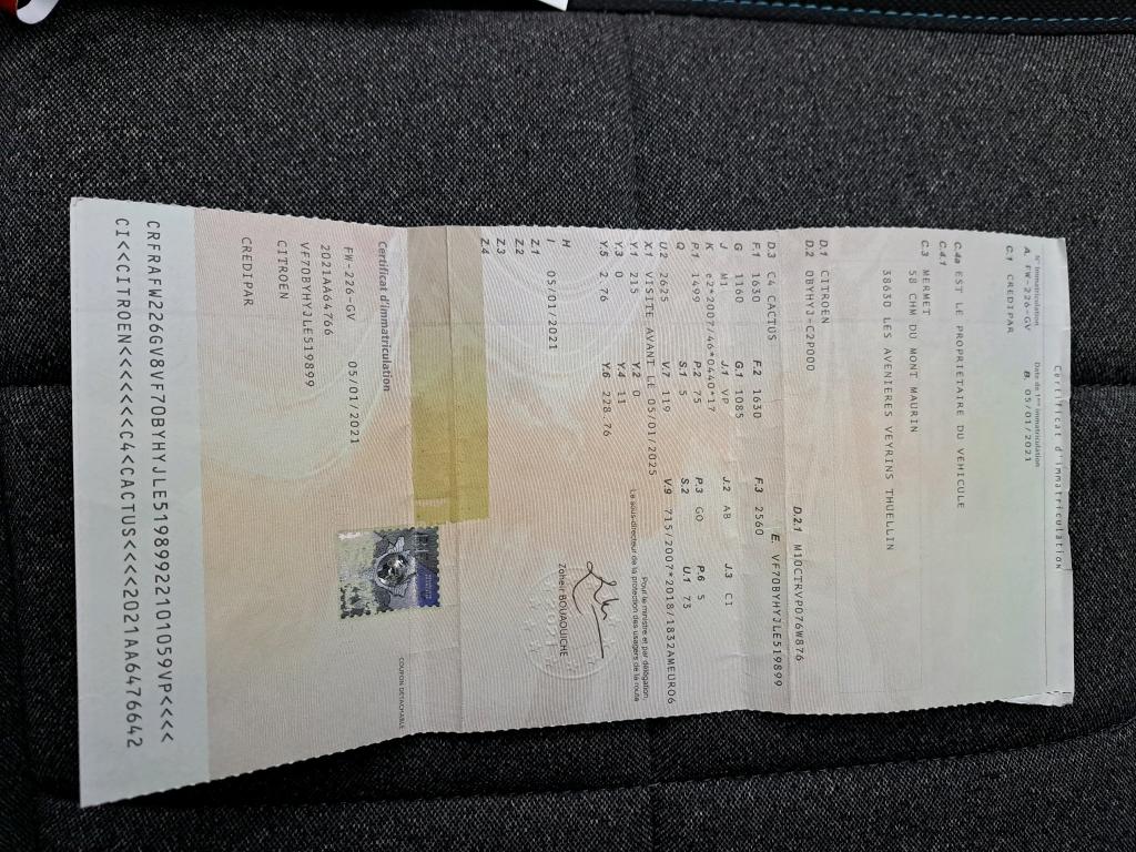 Citroen C4 Cactus BlueHDi 100 S&S BVM6 Shine 2021