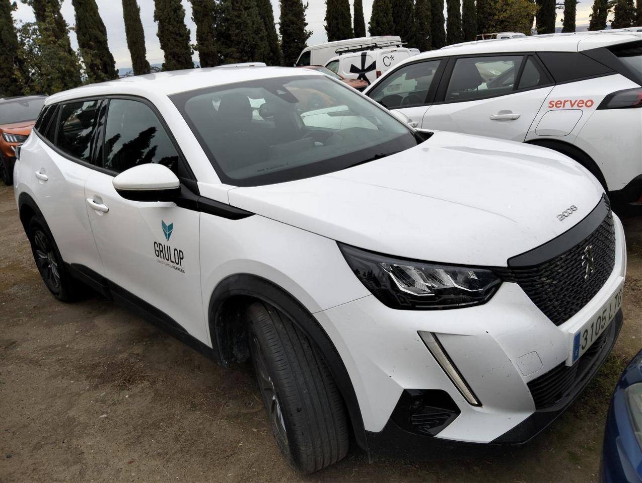 Foto Peugeot 2008 8
