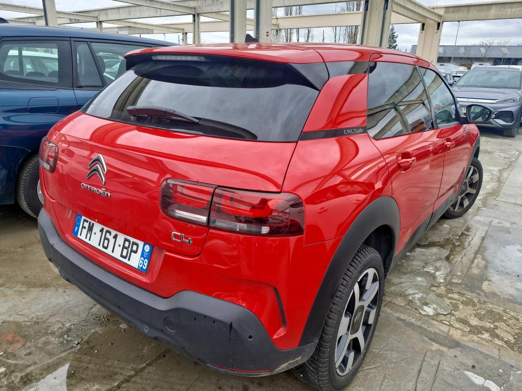 Citroen C4 Cactus BlueHDi 100 S&S BVM6 Shine 2019