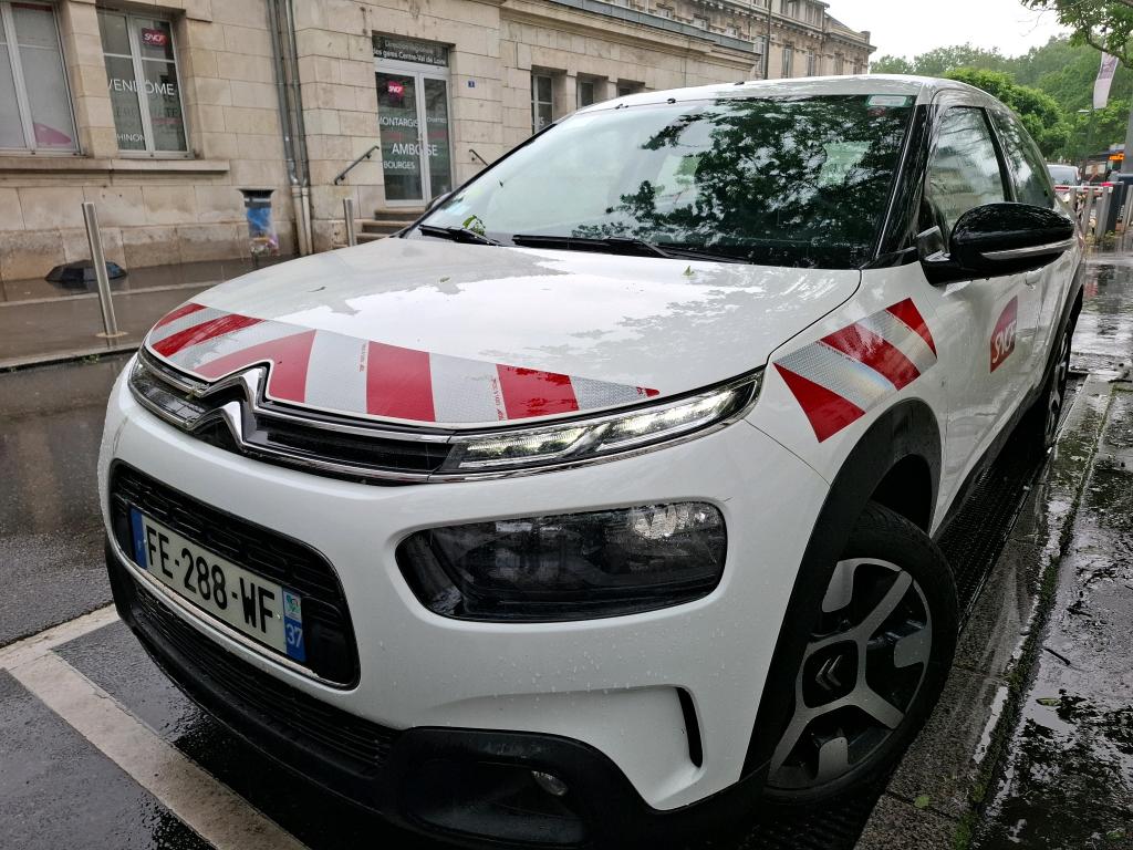 C4 CACTUS
