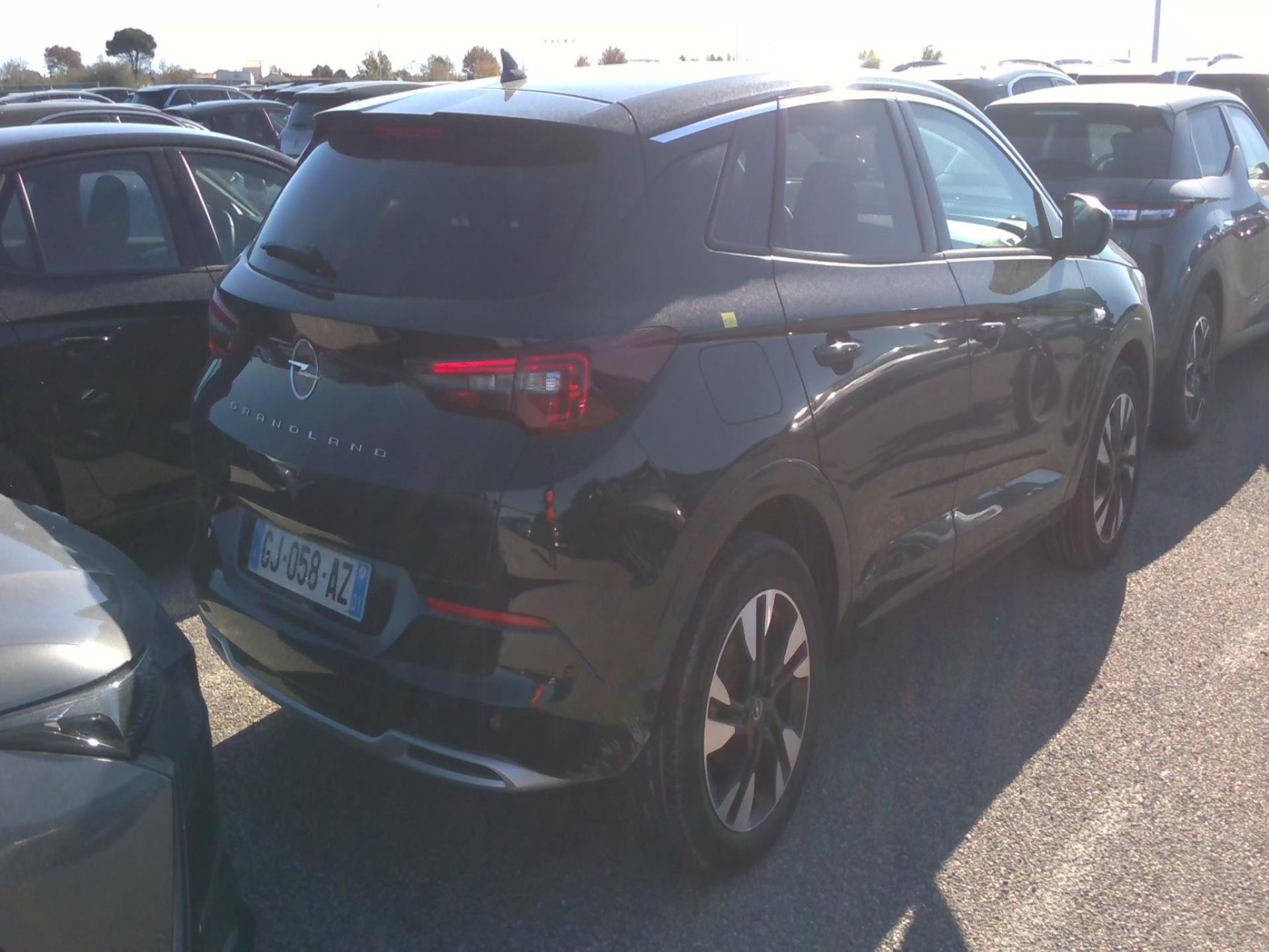 Opel Grandland 1.5 Diesel 130 ch BVA8 Elegance Business 2022
