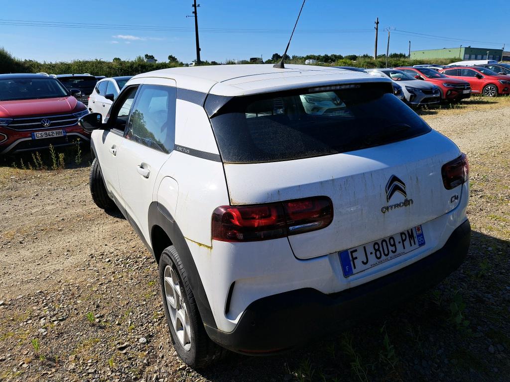 Citroen C4 CACTUS SOCIETE BLUEHDI 100 S&S BVM6 FEEL NAV 2019