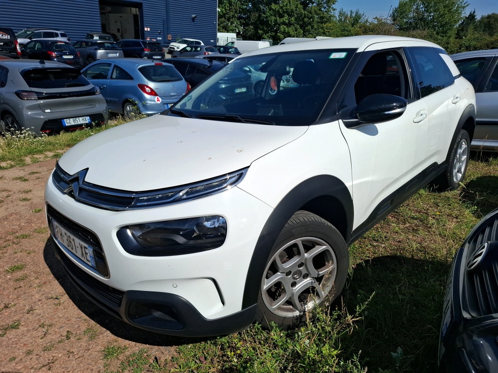 C4 CACTUS