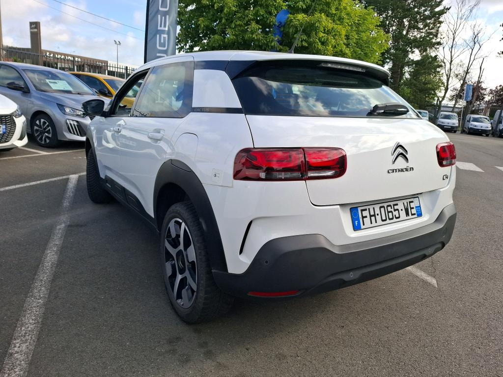Citroen C4 Cactus BlueHDi 100 S&S BVM6 Feel 2019