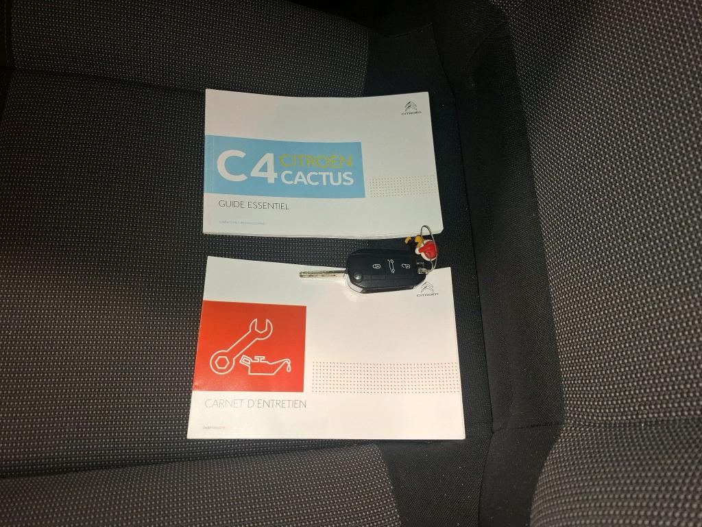 Citroen C4 Cactus BlueHDi 100 S&S BVM6 Feel 2019