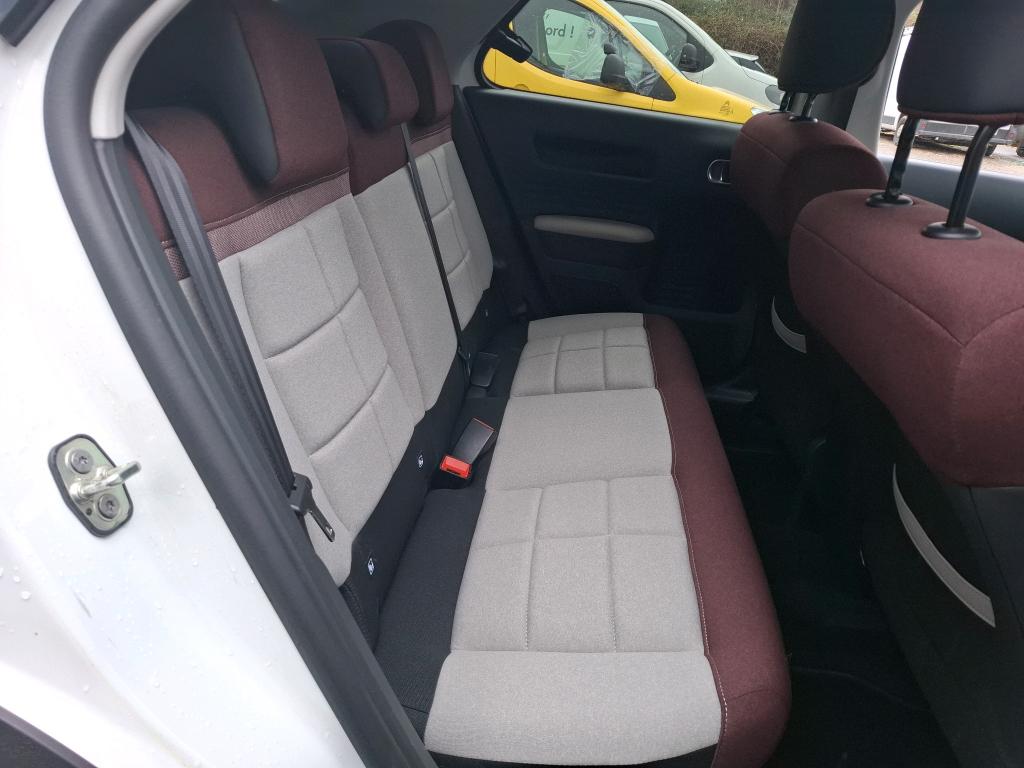 Citroen C4 Cactus BlueHDi 100 S&S BVM6 Shine Business 2020