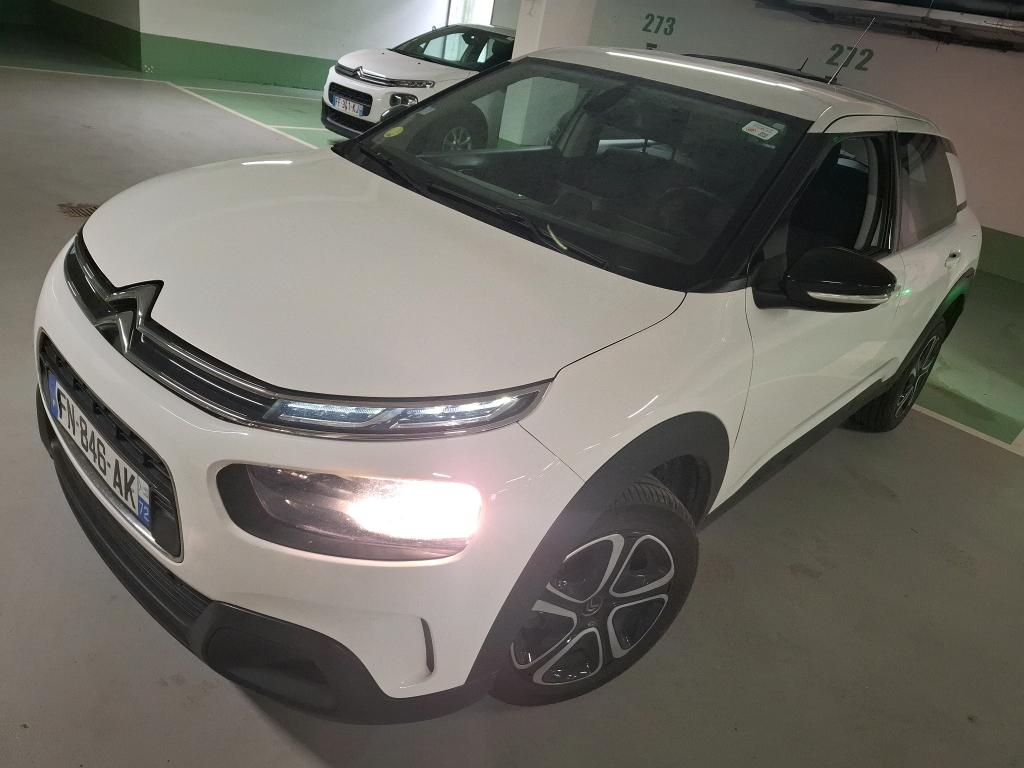C4 CACTUS