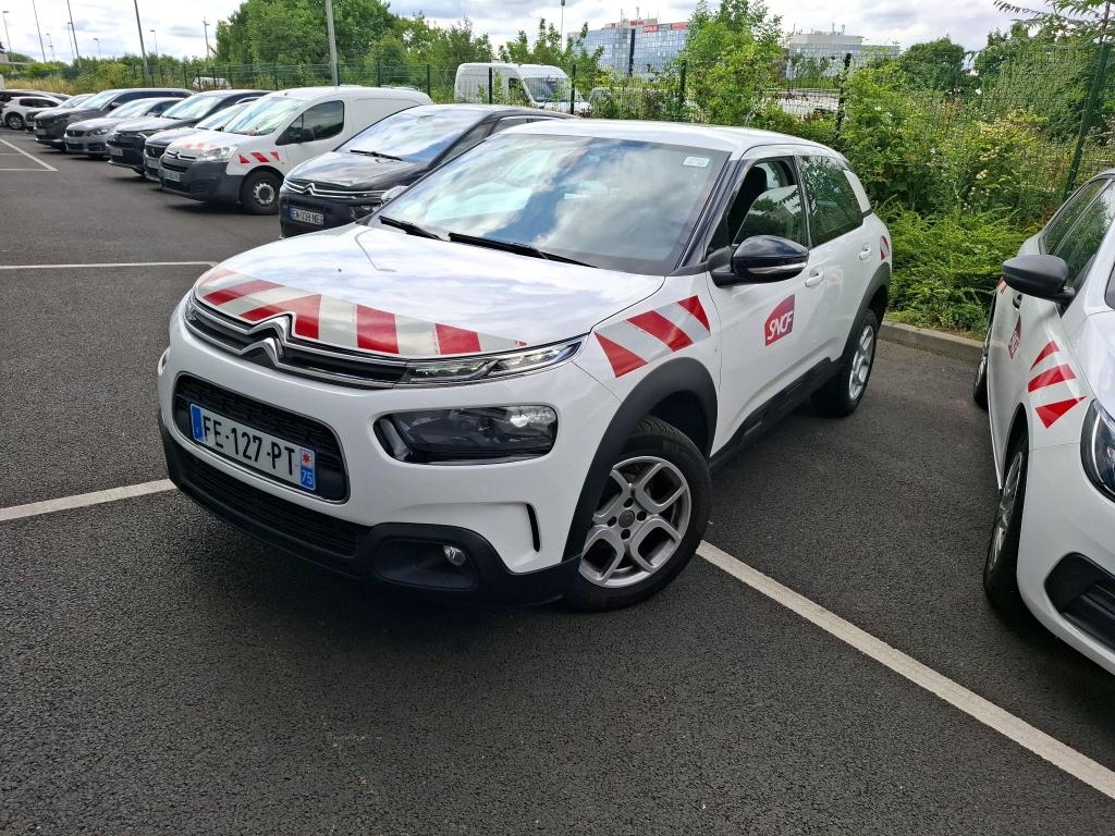 C4 CACTUS