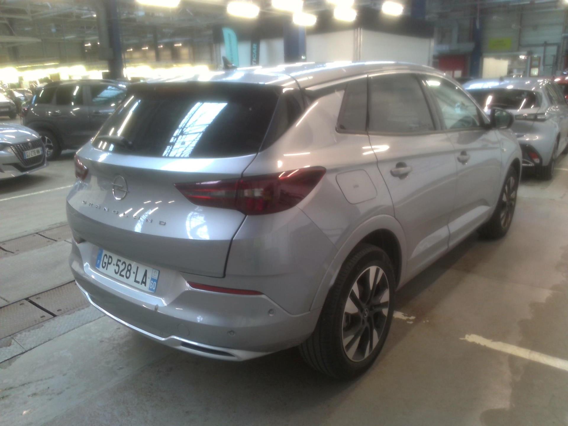 Opel Grandland 1.5 Diesel 130 ch BVA8 Elegance Business 2023