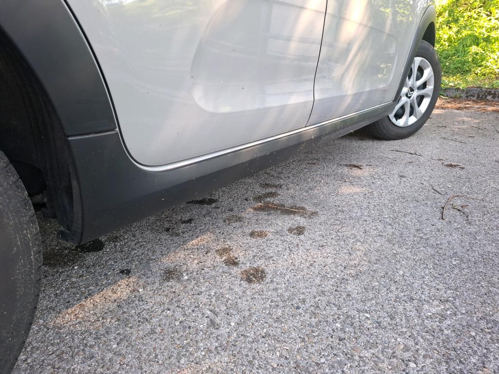 Citroen C3 PureTech 83 ch BVM5 You 2024