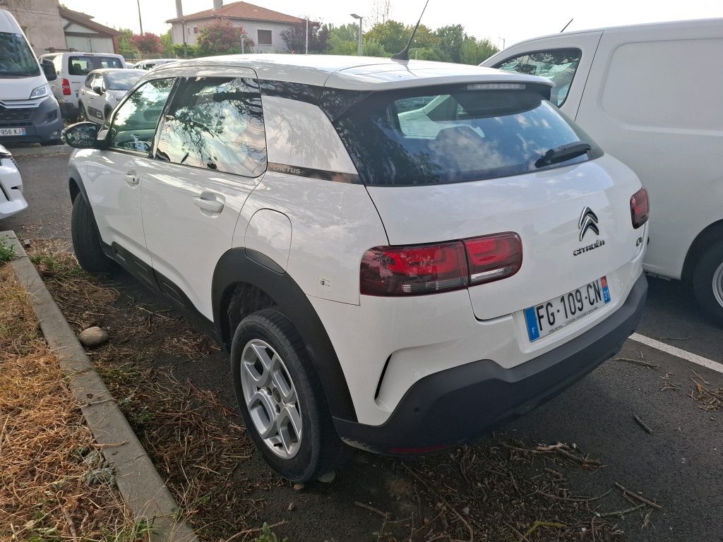 Citroen C4 Cactus BlueHDi 100 S&S BVM6 Feel 2019