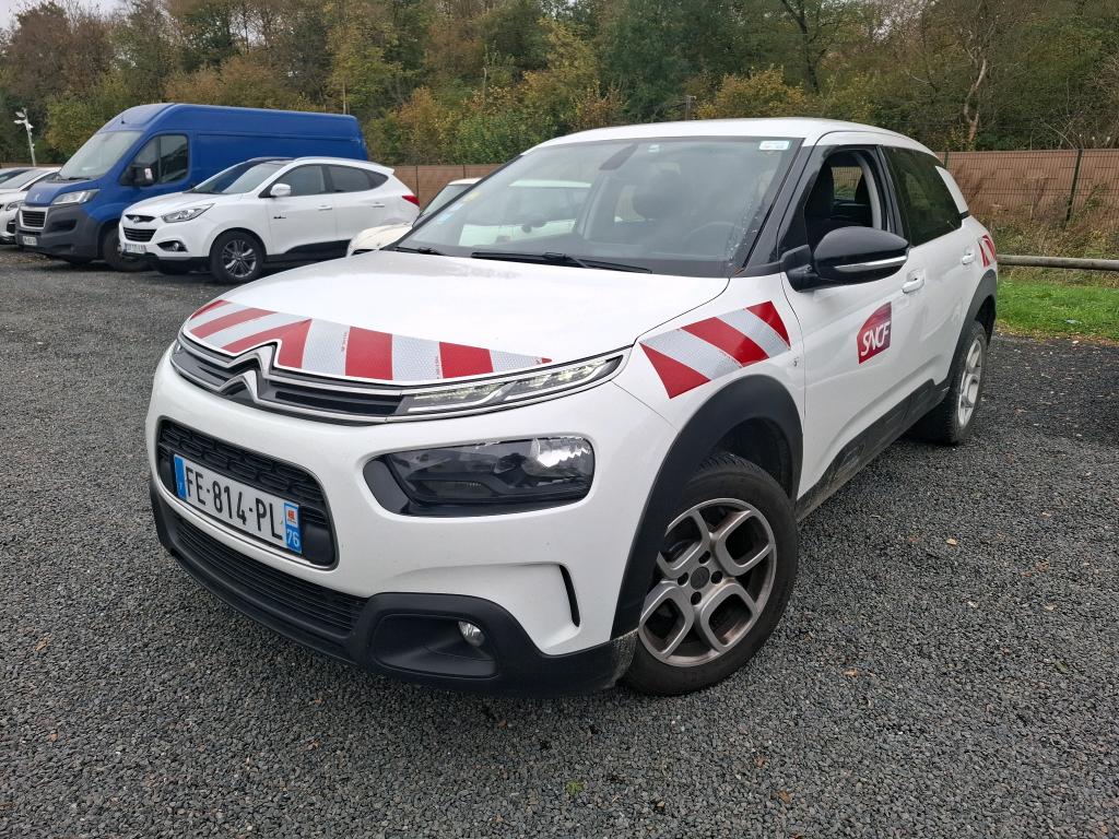 C4 CACTUS