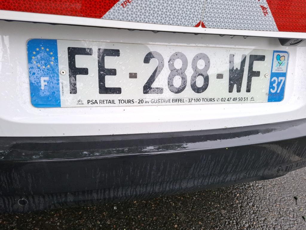 Citroen C4 Cactus BlueHDi 100 S&S BVM6 Feel 2019
