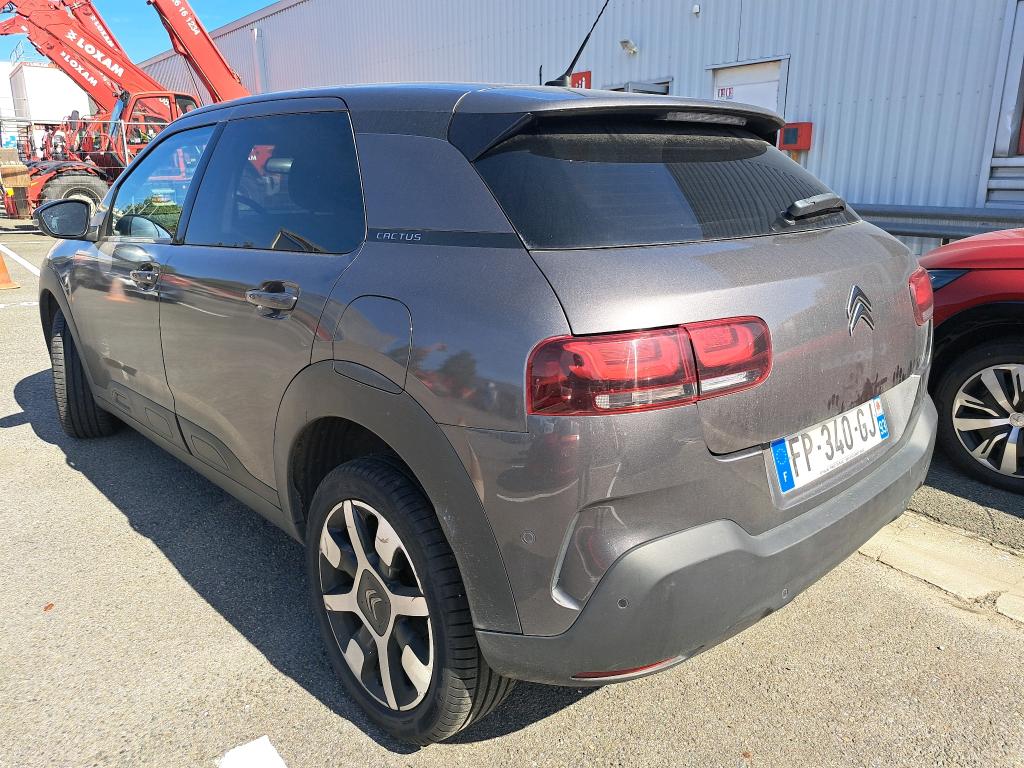 Citroen C4 Cactus BlueHDi 100 S&S BVM6 Shine Business 2020