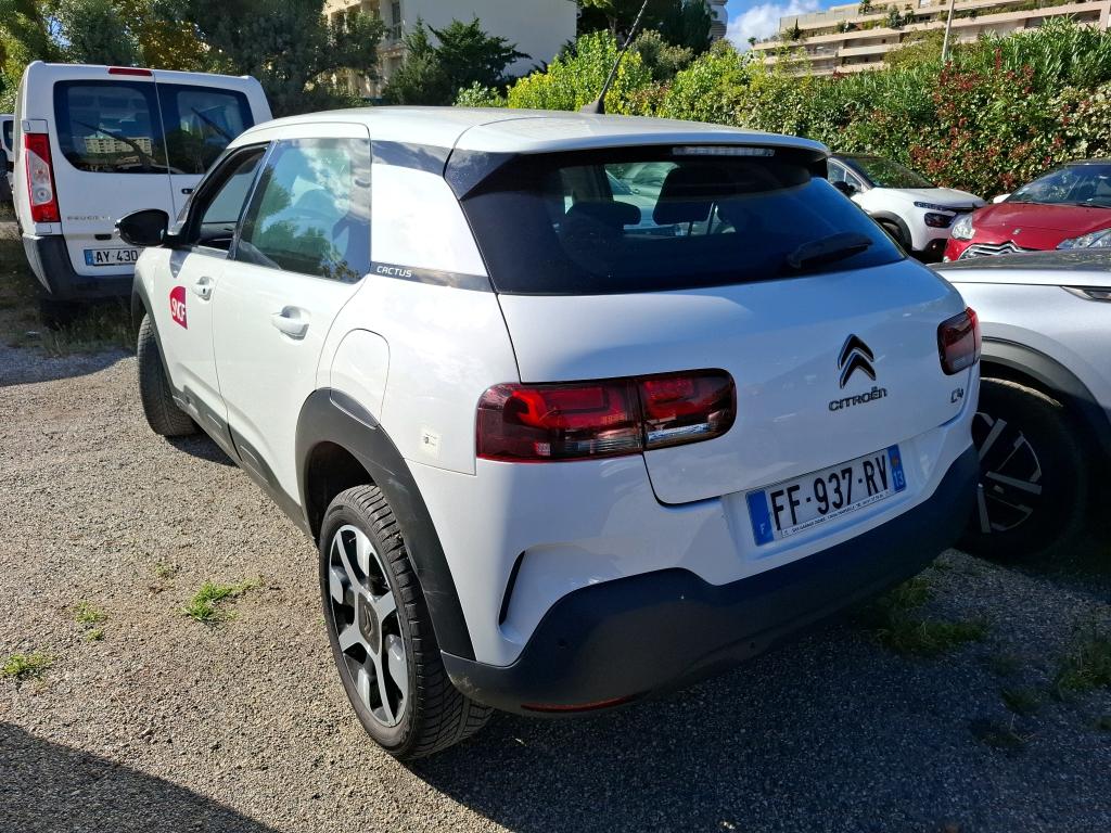 Citroen C4 Cactus BlueHDi 100 S&S BVM6 Feel 2019