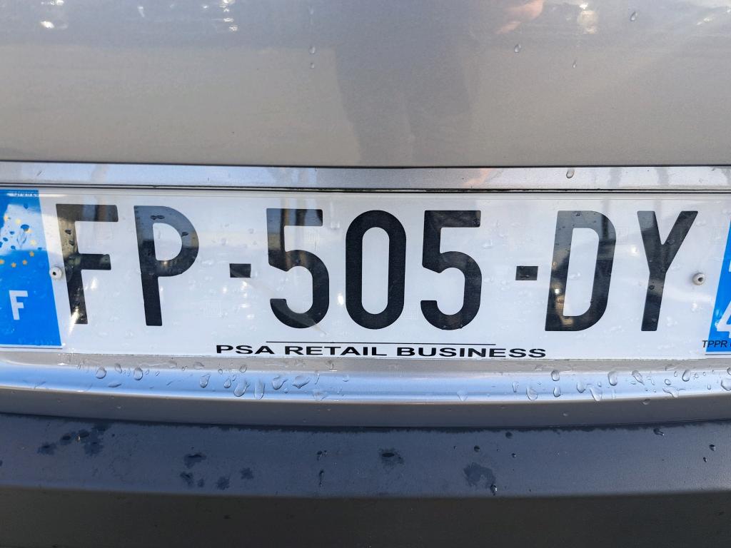 Citroen C4 Cactus BlueHDi 100 S&S BVM6 Shine Business 2020