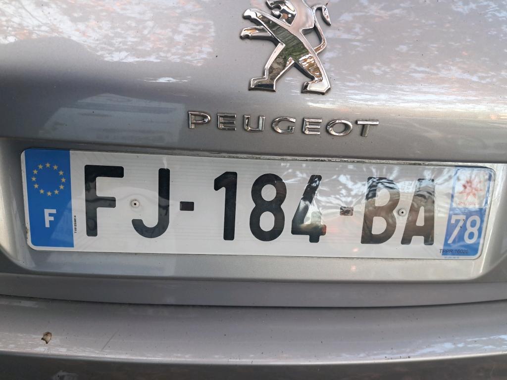 Peugeot 308 BlueHDi 130ch S&S BVM6 GT Line 2019