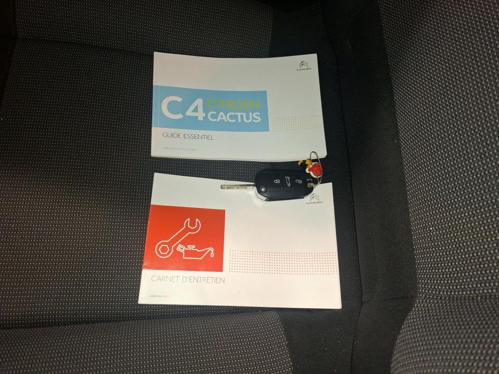 Citroen C4 Cactus BlueHDi 100 S&S BVM6 Feel 2019