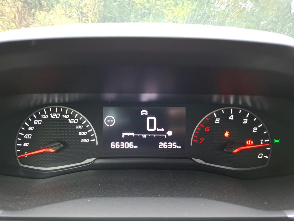 Peugeot 208 BlueHDi 100 S&S BVM6 Active 2021