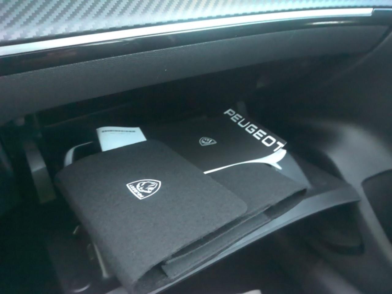 Foto Peugeot 308 9
