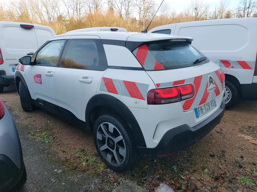 Citroen C4 Cactus BlueHDi 100 S&S BVM6 Feel 2019