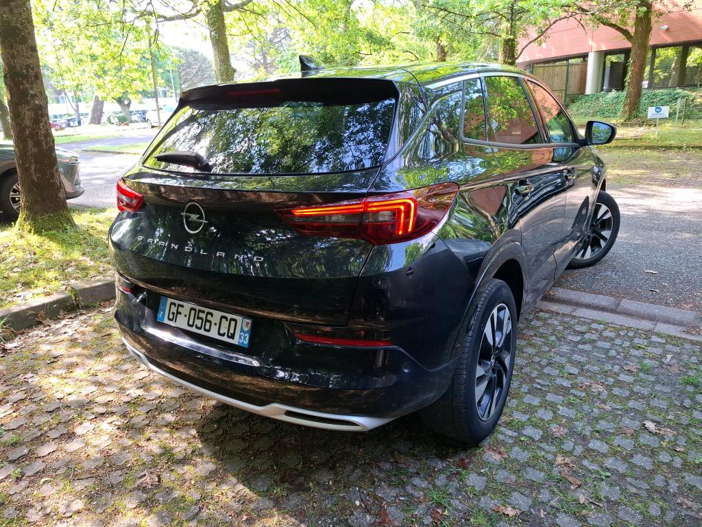 Opel Grandland 1.5 Diesel 130 ch BVA8 Elegance Business 2022