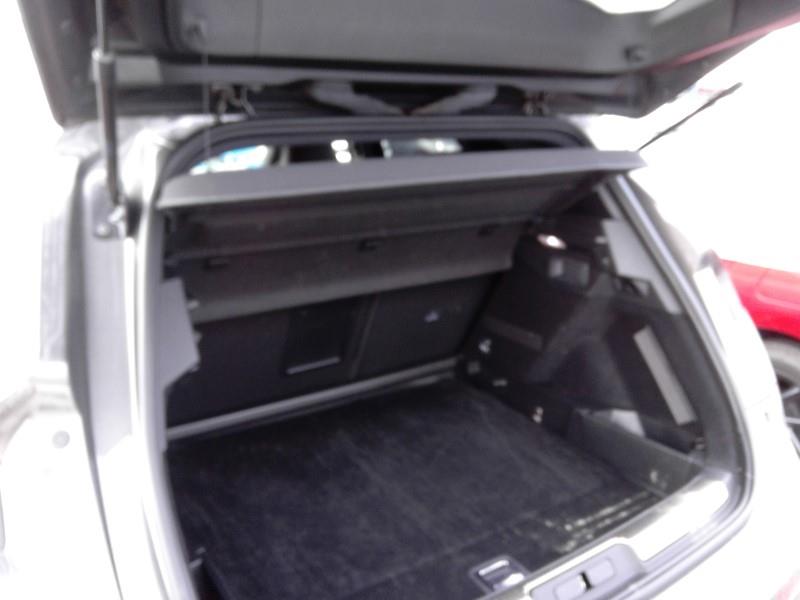 Foto DS DS 7 Crossback 6