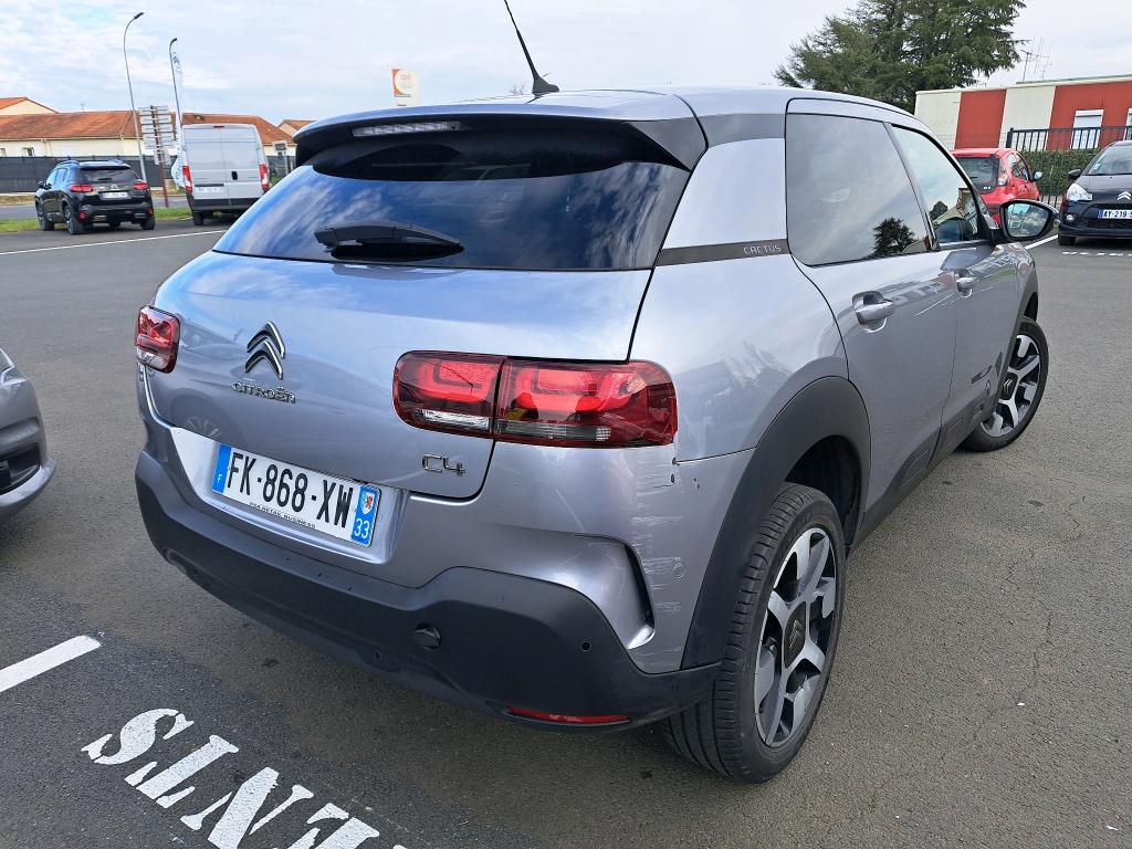 Citroen C4 Cactus BlueHDi 100 S&S BVM6 Shine Business 2019