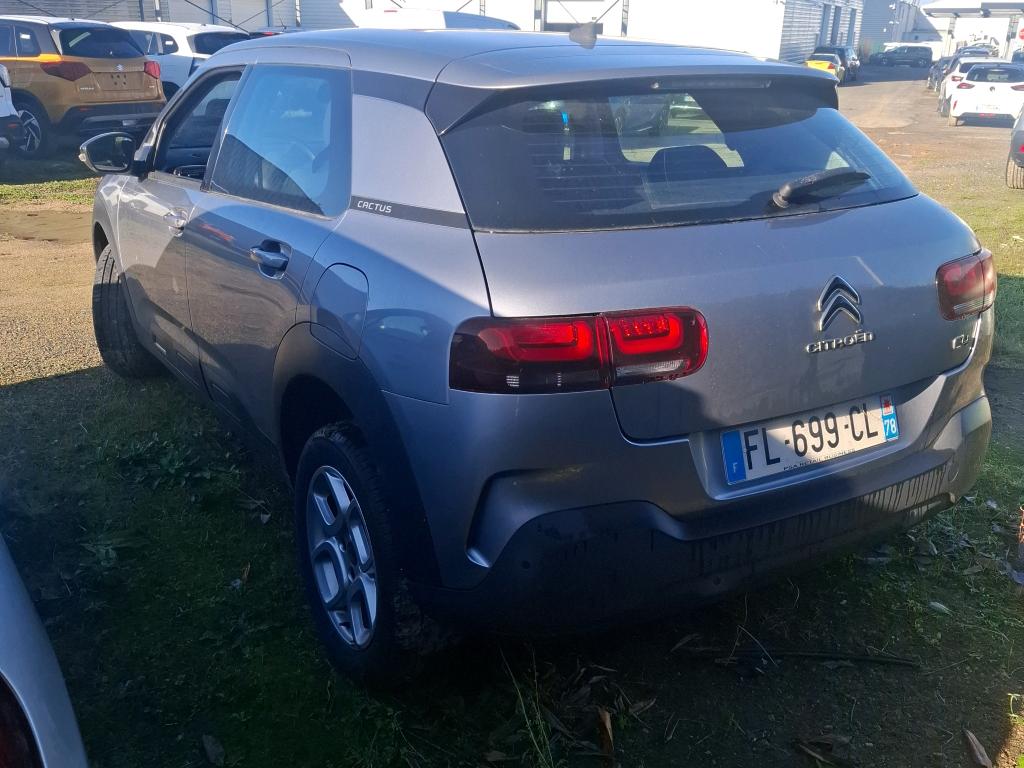 Citroen C4 Cactus BlueHDi 100 S&S BVM6 Feel Business 2019